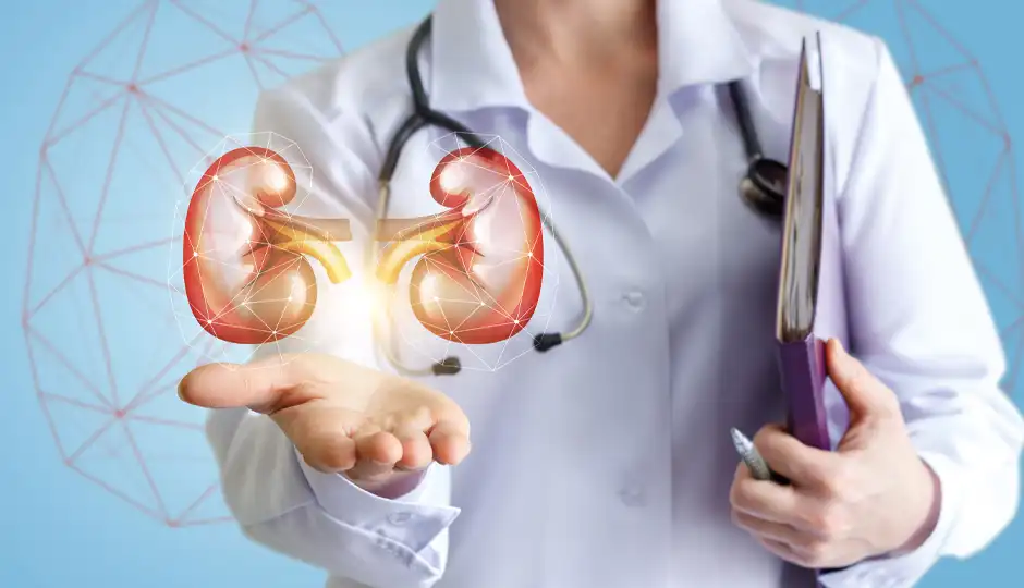 nephrology